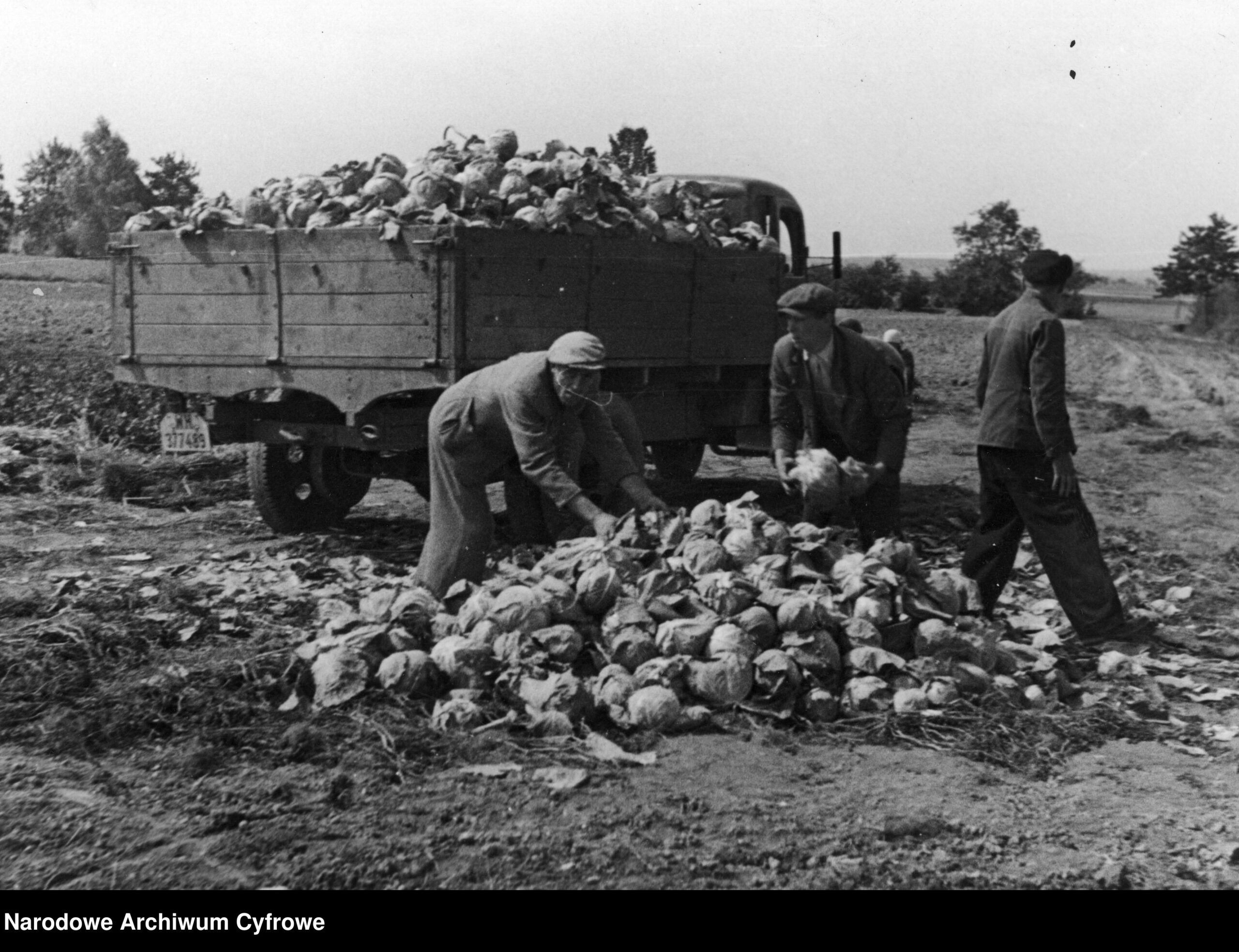 Kwaśnica i brzuch bez kapusty…